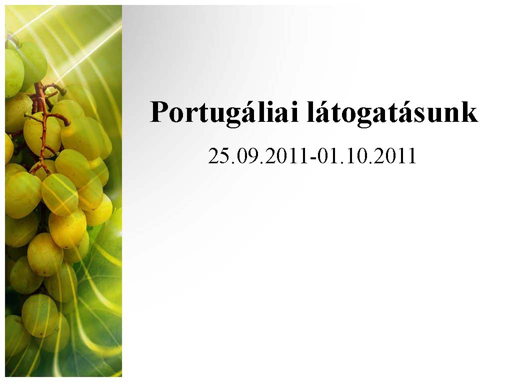portugal magyar Oldal 01